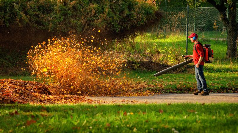 Efficient Leaf Removal Equipment