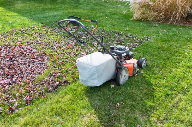 Autumn Lawn Care Equipment