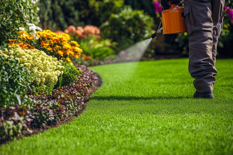 Home Lawn Maintenance