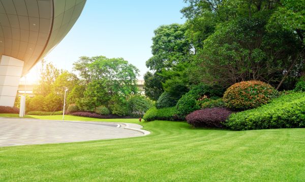 Cost of Commercial Lawn Mowing in Augusta