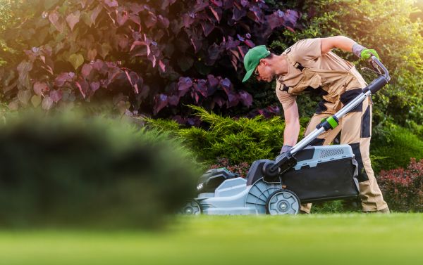 Lawn Care And Maintenance in Augusta