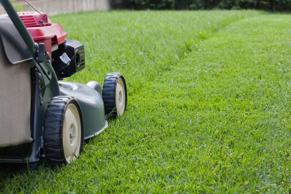 Lawn Care Service in Augusta