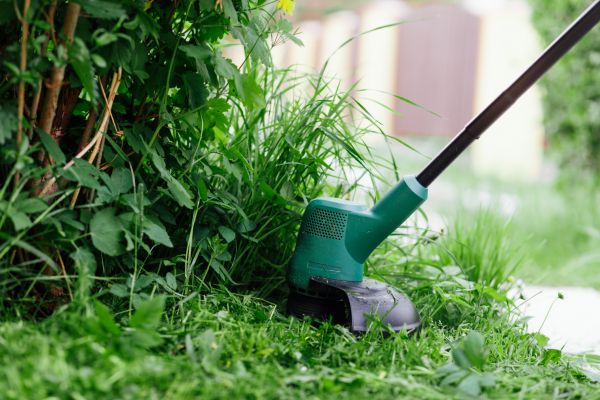 Weed Whacking in Augusta