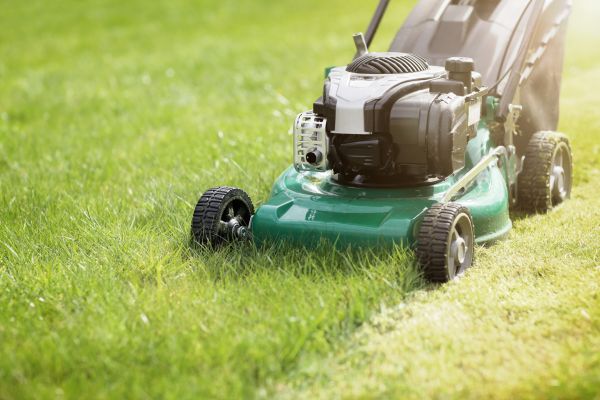 Cost of Yard Cutting in Augusta