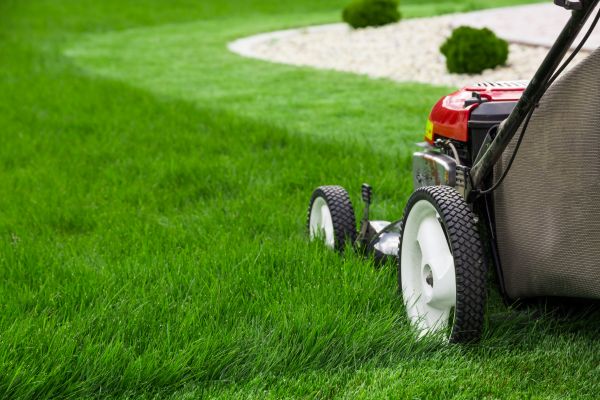 Yard Maintenance in Augusta