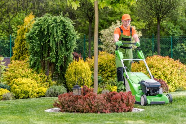 Cost of Yard Service in Augusta