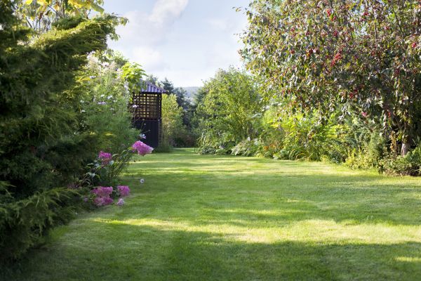 Cost of Yard Upkeep Service in Augusta