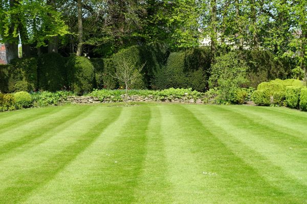 Cost of Grass Care Service in Augusta
