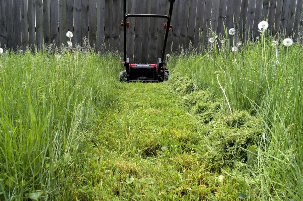 Cost of High Grass Mowing in Augusta