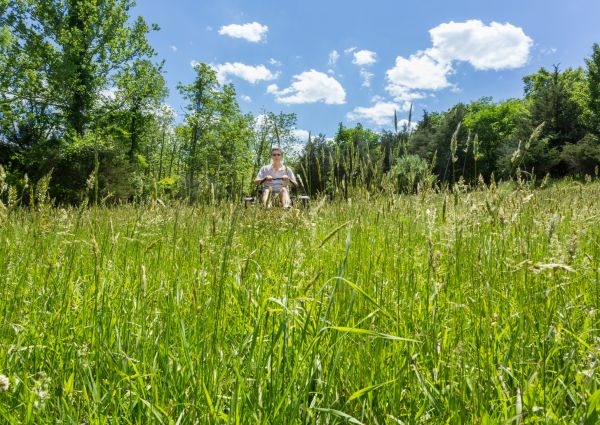 Cost of Long Grass Mowing in Augusta