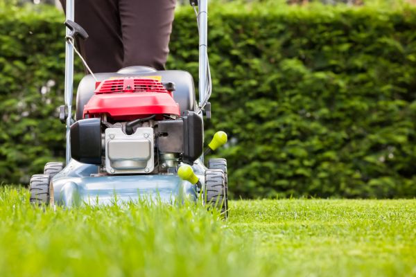 Grass Trimming Service in Augusta