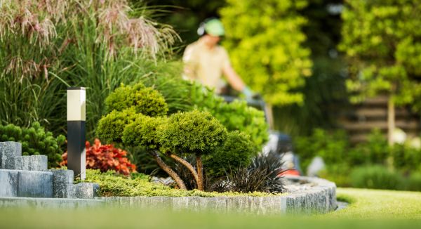 Cost of Residential Yard Maintenance in Augusta