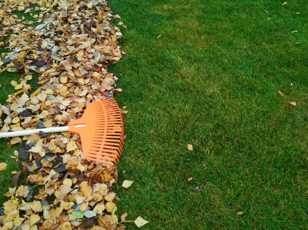 Cost of Fall Lawn Care in Augusta