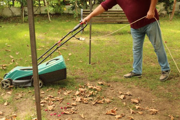 Cost of Leaves Mowing in Augusta