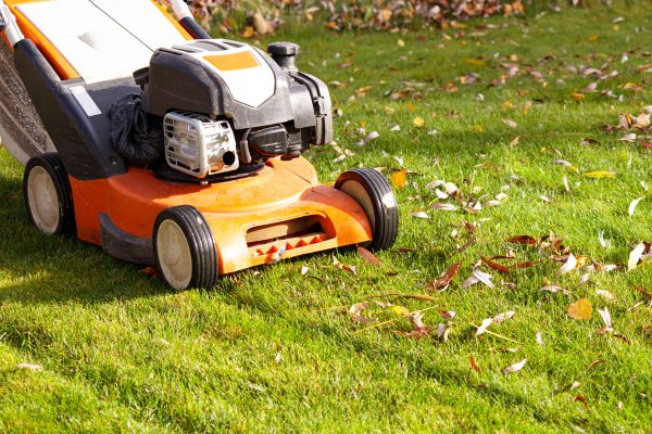 Cost of Fall Mowing in Augusta