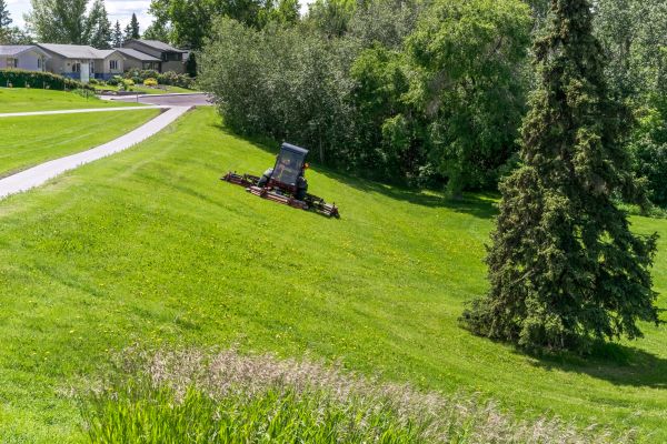 Cost of Sloped Area Mowing in Augusta