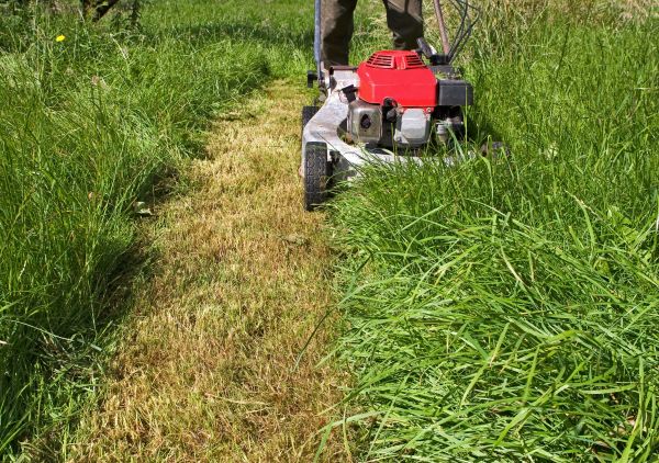 Cost of Leaf Mowing in Augusta