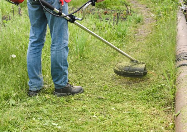 Cost of Tall Grass Trimming in Augusta